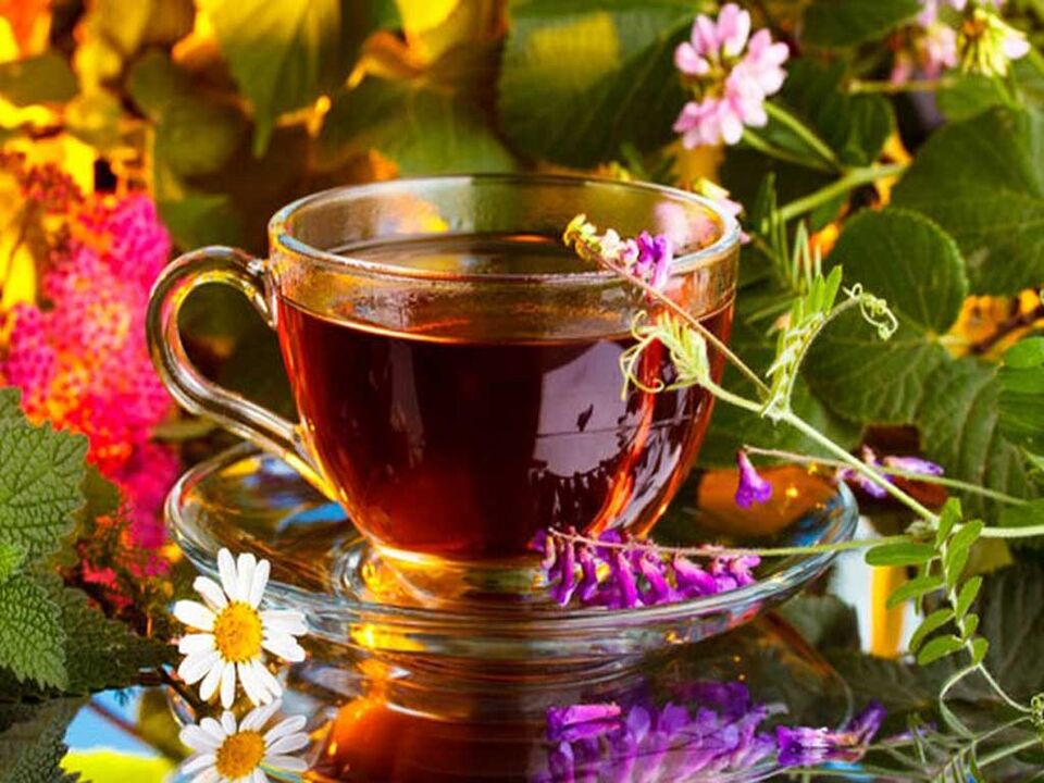 Infusioni e decotti